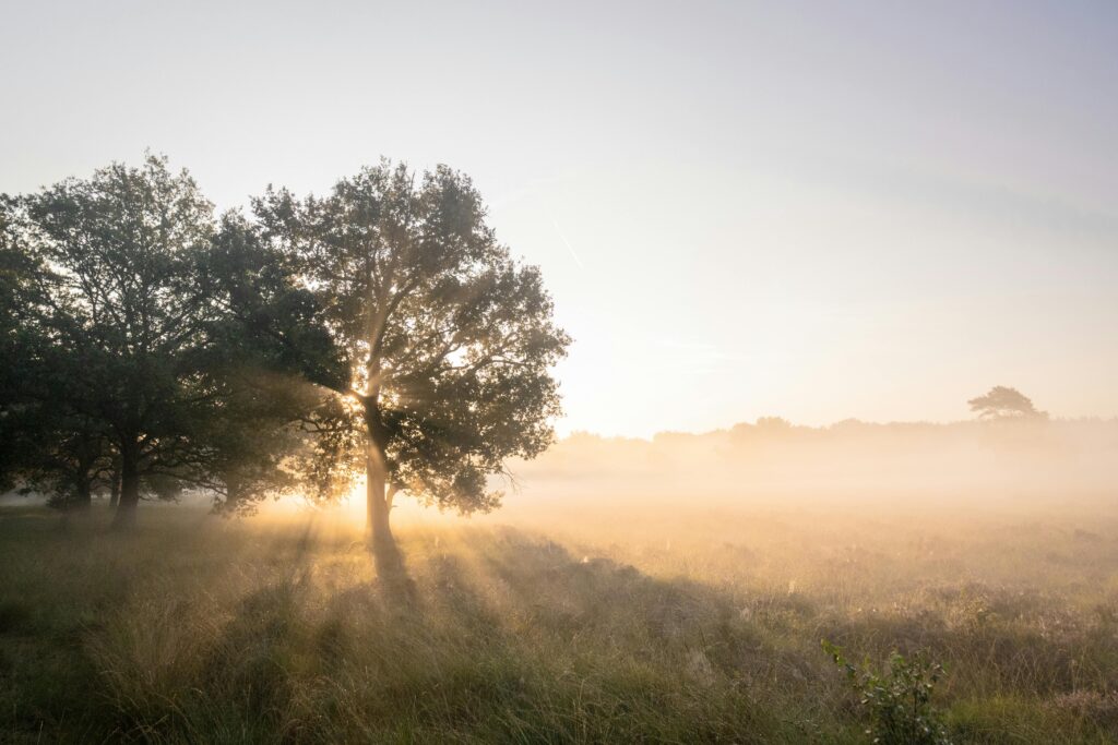 A lone traveler sits by a window, gazes fixed on the monolithic rocks rising from the churning sea. The vastness of the ocean against the stillness of the observer captures the tension between the desire for significance and the humbling scale of the natural world; from the blog "The Fear of Being Ordinary" by Dhrruv Tokas.