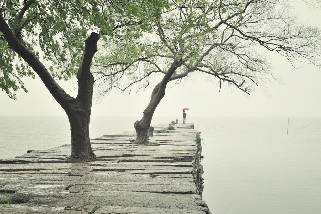 An evocative long shot of a lone individual holding a classic umbrella on an ancient, rain-slicked flagstone road near an old stone pier in Suzhou. Facing the quiet expanse of the lakeside water amidst the soft hues of nature, the scene beautifully symbolizes the patience, stillness, and emotional reflection found in deliberate pauses, highlighting the core themes of the blog "The Intelligence of Waiting" by Dhrruv Tokas.