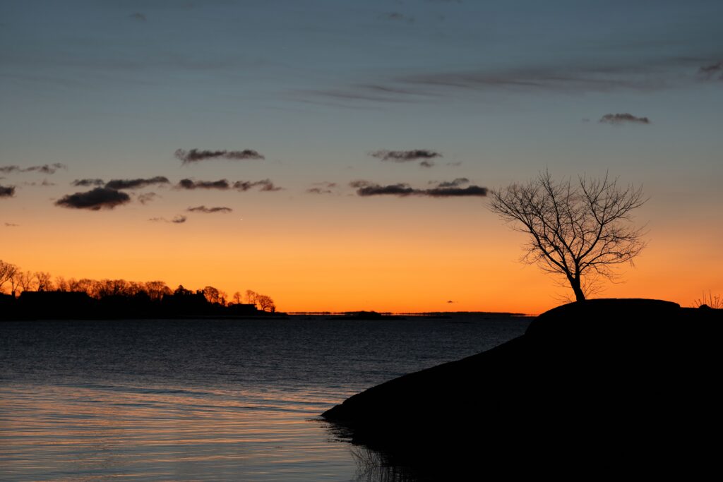 A serene silhouette of a lone tree against a vibrant sunrise over the water at Cove Island Park in Stamford, Connecticut. The quiet, unyielding stature of the tree standing solitary against the changing sky beautifully symbolizes the internal shift from fulfilling heavy external expectations to discovering personal peace and sovereignty, echoing the core themes of reclaiming autonomy in the blog "The Grace of the Blank Page" by Dhrruv Tokas.